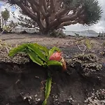 Casa Volcanica El Cabezo Дом отдыха