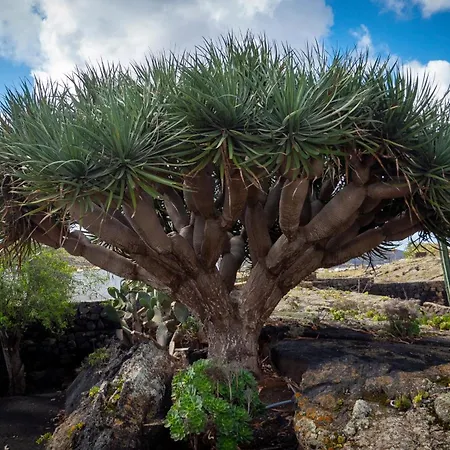 Casa Volcanica El Cabezo Vakantiehuis *