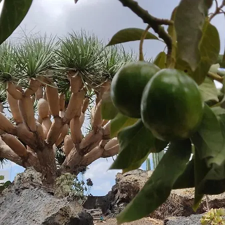 Casa Volcanica El Cabezo *