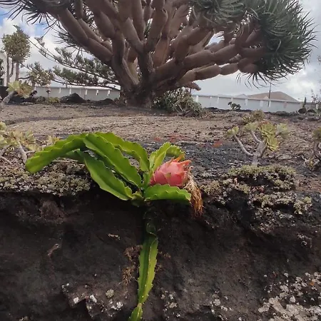 Casa Volcanica El Cabezo Vakantiehuis