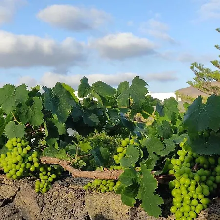 Vakantiehuis Casa Volcanica El Cabezo