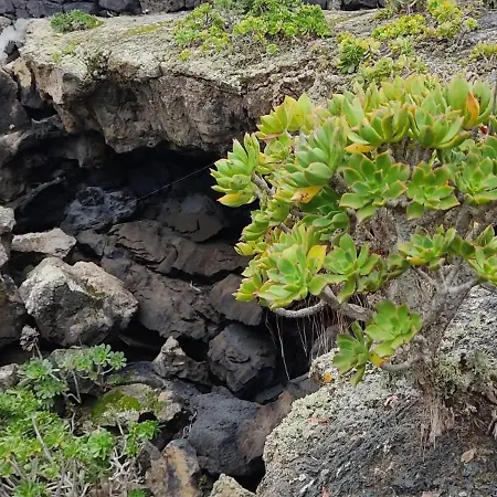Casa Volcanica El Cabezo Vakantiehuis