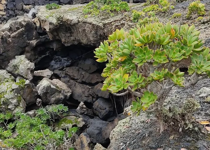 Casa Volcanica El Cabezo Σπίτι διακοπών